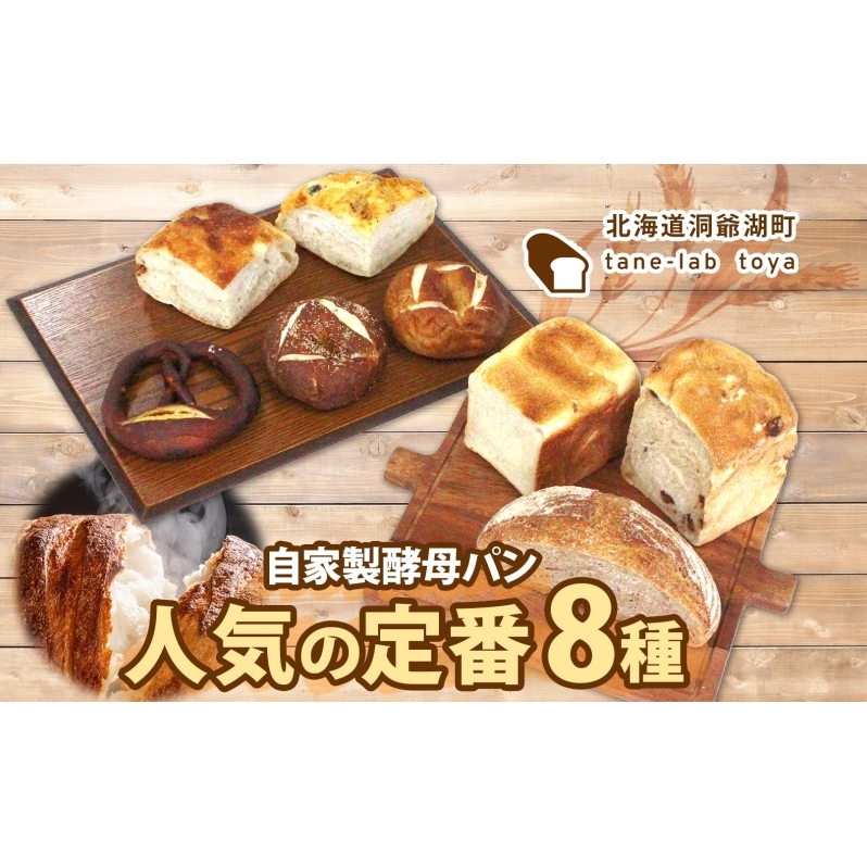 自家製酵母パン 人気の定番セット Mサイズ パン 道産 小麦 惣菜パン 菓子パン フォカッチャ ベーグル プレッツェル 角食 山食 手づくり 自家製 酵母 人気 詰め合わせ 冷凍 北海道 洞爺湖町