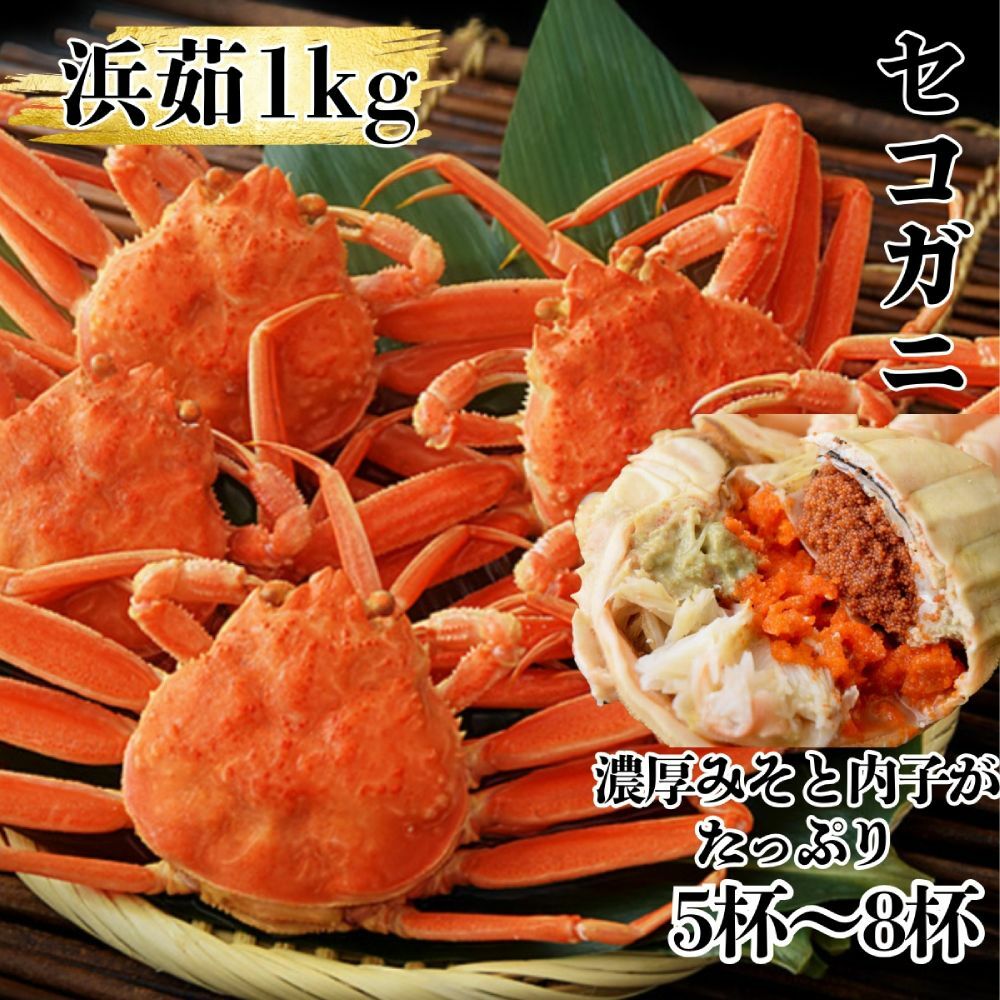11-181 ボイルセコガニ1kg| セイコ蟹 ズワイガニメス 子持ち