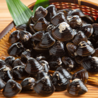 21-48 冷凍砂出ししじみドーンと2.5kgセット