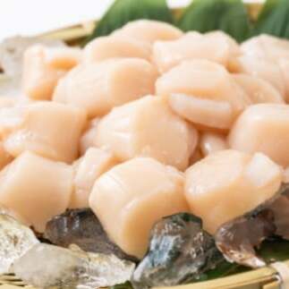 20-286 大粒！冷凍帆立貝柱500ｇ×2(計1kg)