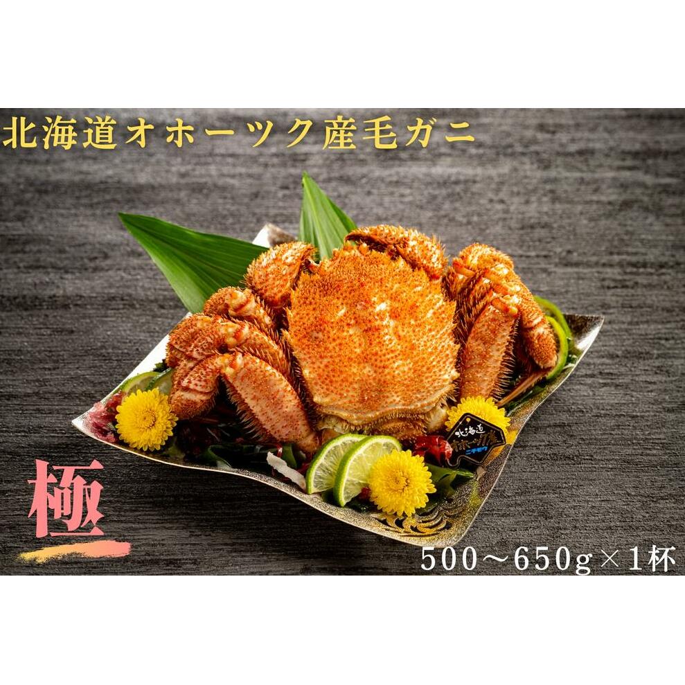 19-57 北海道産毛ガニ　500～650g×1杯