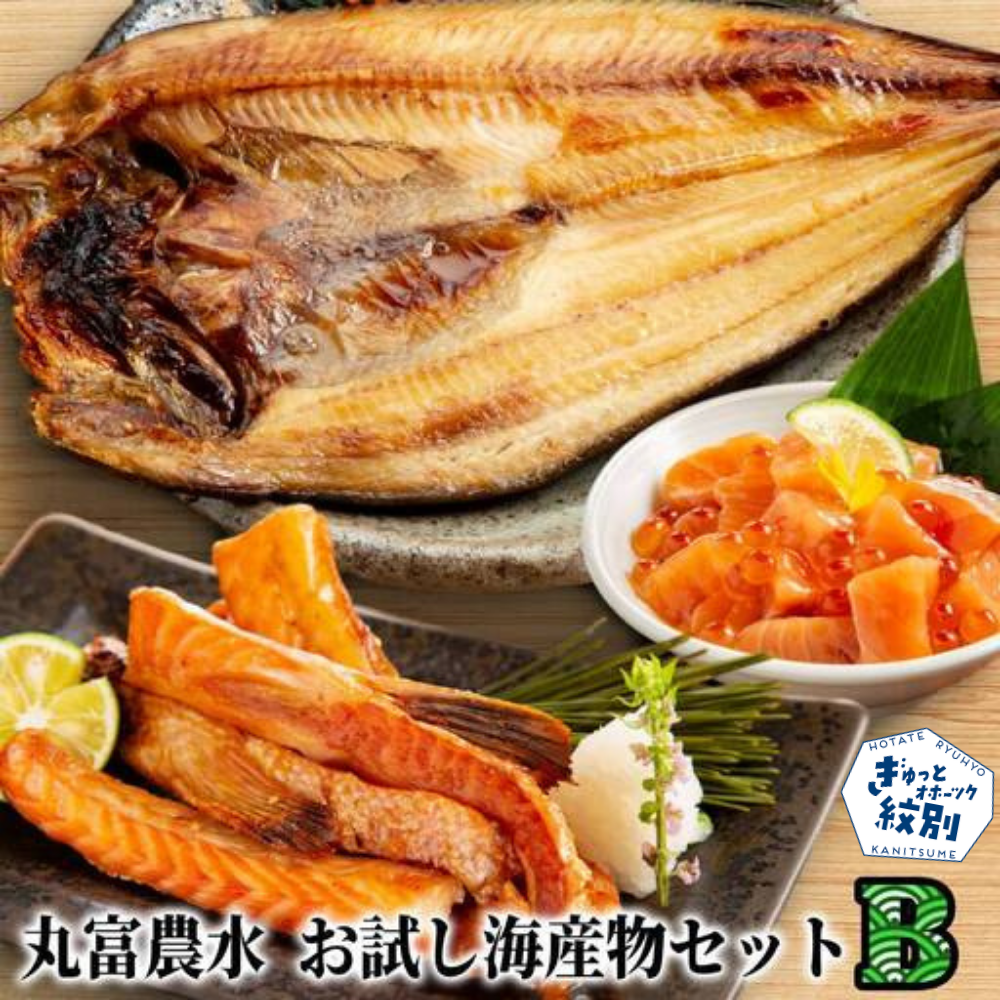 13-362 丸富農水お試し海産物セットＢ