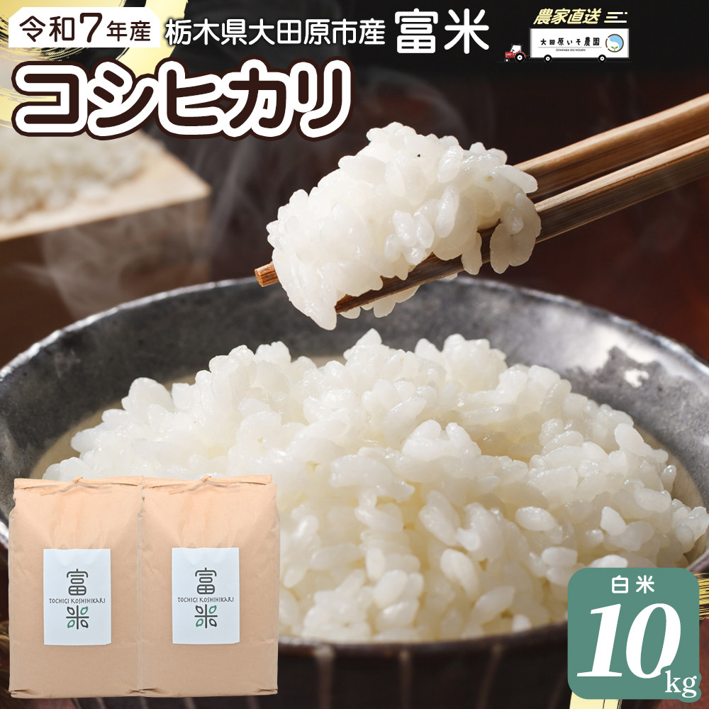 ≪2025年10月中旬以降発送≫令和7年産 栃木県大田原市産コシヒカリ「富米」 白米 10キロ |米 お米 新米 コメ こしひかり 10kg