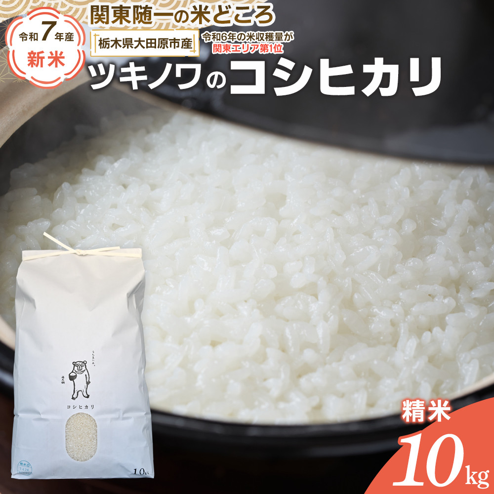 【令和7年産 新米 先行予約受付】ツキノワのコシヒカリ 精米 10kg |お米 白米 ご飯 コメ 栃木県 大田原市