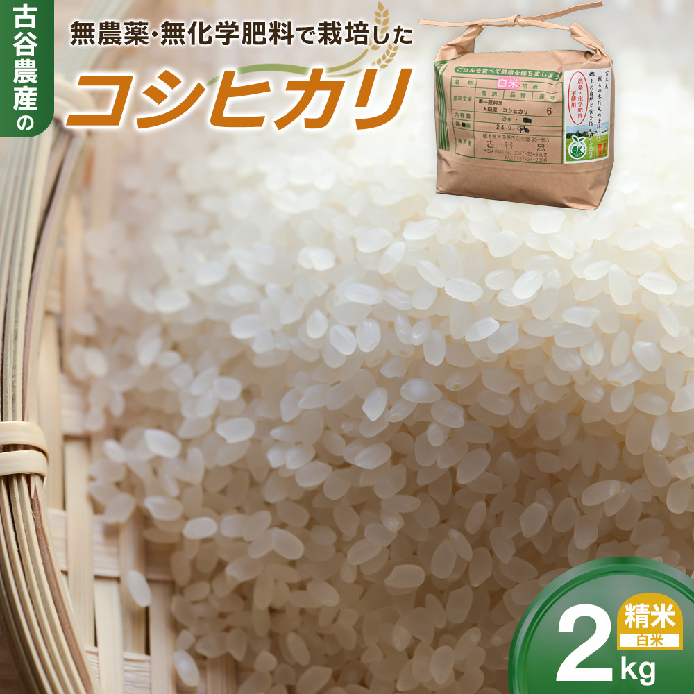 【令和7年産米 数量限定】古谷農産の無農薬・無化学肥料で栽培したコシヒカリ(精米2キロ) |米 コメ 新米 白米 2kgコシヒカリ こしひかり 農家直送 産地直送 産直