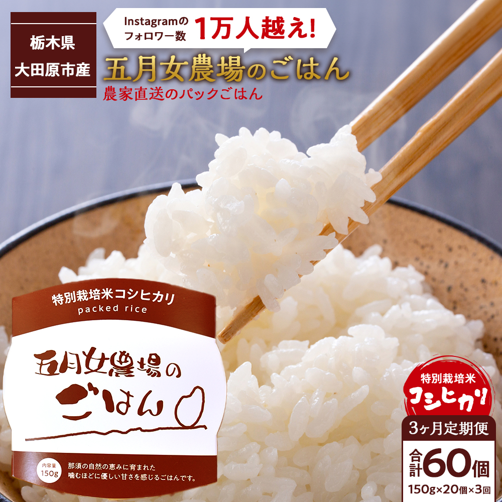 【3か月定期便】農家直送のパックごはん☆五月女農場のごはん(150g×20個)
