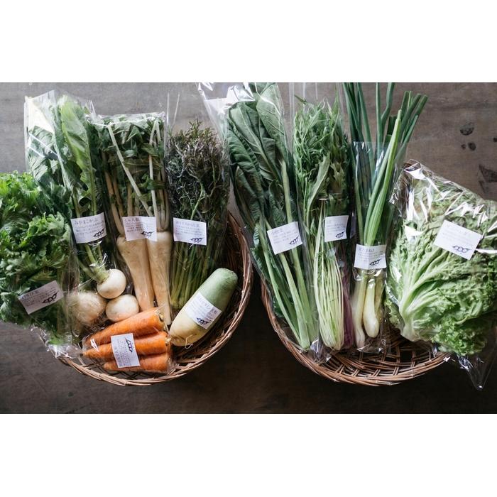 新鮮！農家直送の野菜セット［6回定期便／5～12月］