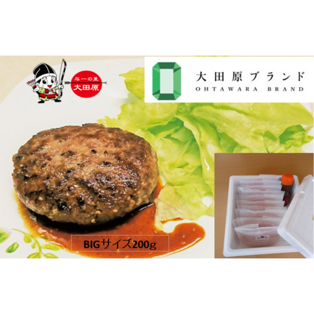 大田原市公式「大田原ブランド」認定第７号「与一和牛100％生ハンバーグ」200ｇ10個入りソース付き