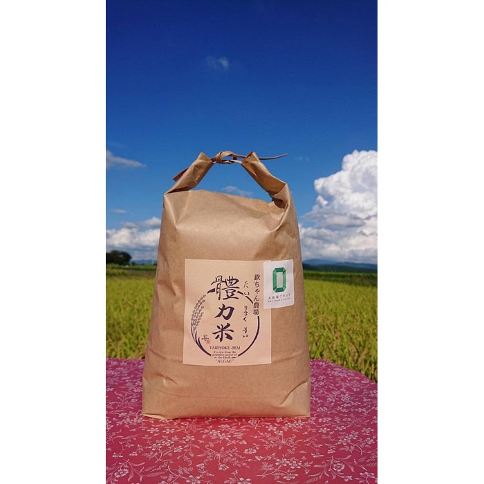 令和7年度産 體力米(たいりょくまい)コシヒカリ 白米 5kg | 米 新米 ブランド米 栃木県 大田原市