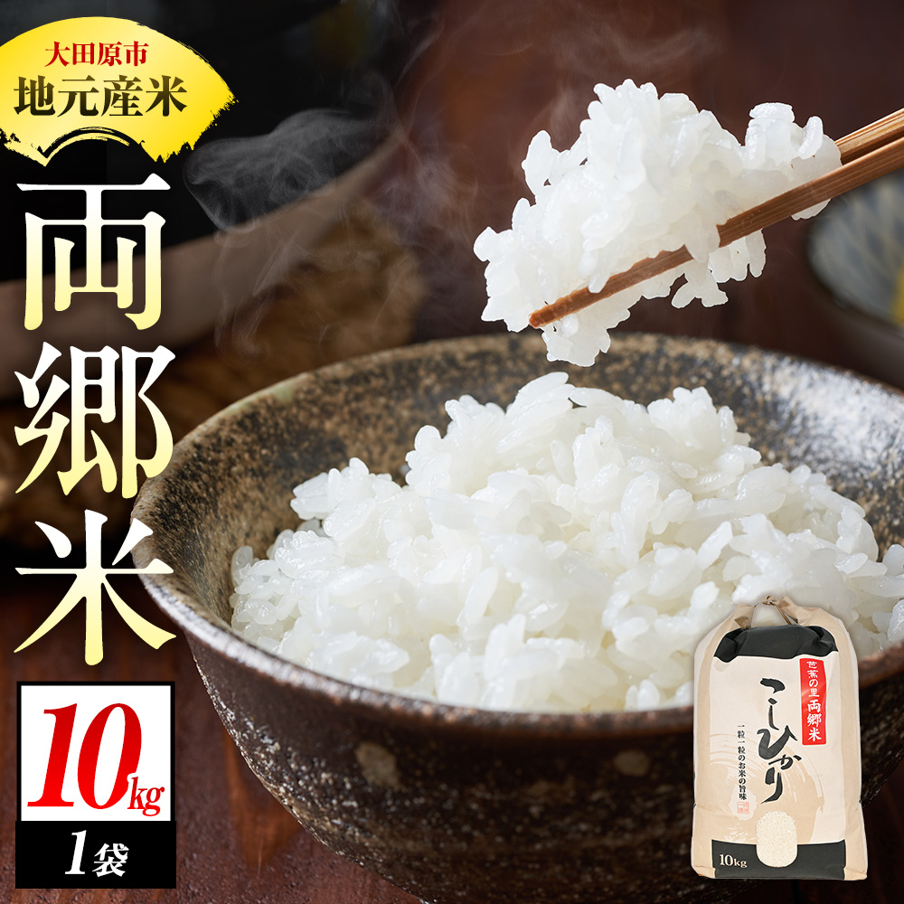 地元産 両郷米 10Kg ×1袋 | 新米 お米 コシヒカリ こしひかり 栃木県 大田原市