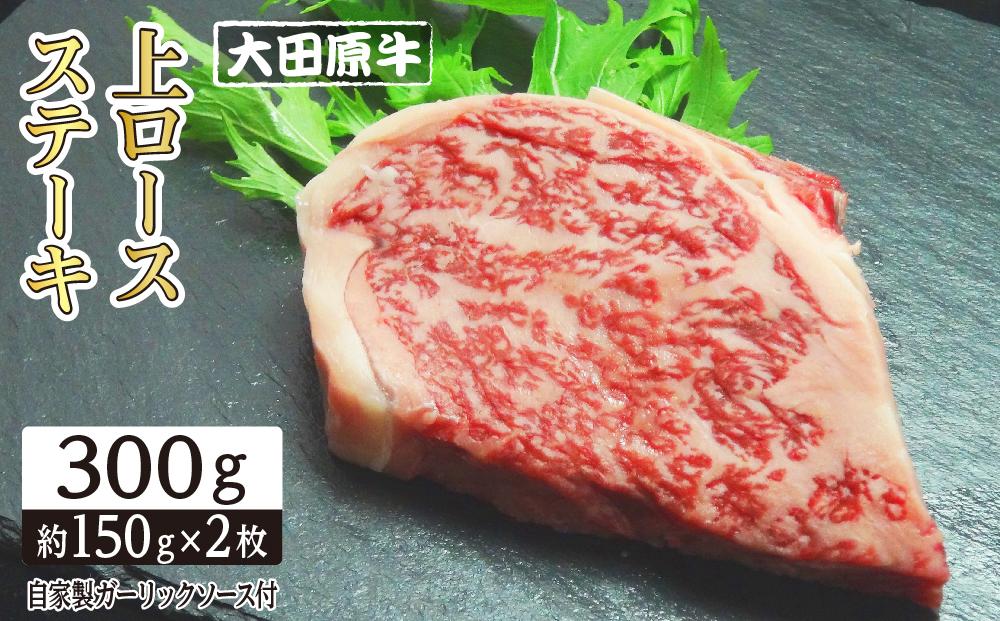 大田原牛 上ロース ステーキ 2枚セット | ブランド牛 和牛 牛肉  高級 ロース 300g