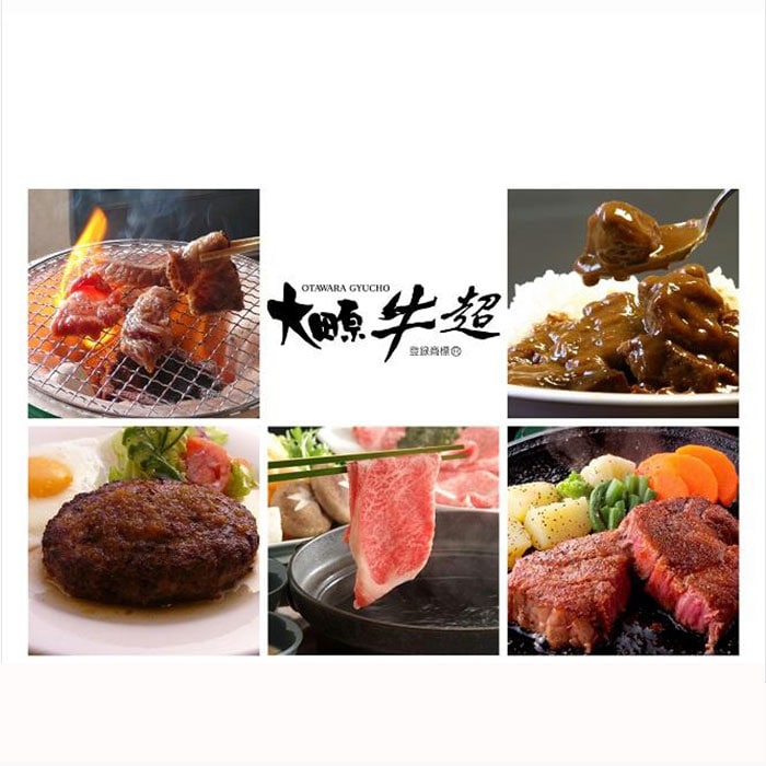 【最高級黒毛和牛／全5回毎月頒布会】 大田原牛の特選定期便 [(1) 焼肉詰め合わせ (2) カレーとシチュー (3) 大田原牛 生ハンバーグ (4) 赤身部位のすき焼き・しゃぶしゃぶ用スライス (5) ロース・サーロインステーキ]