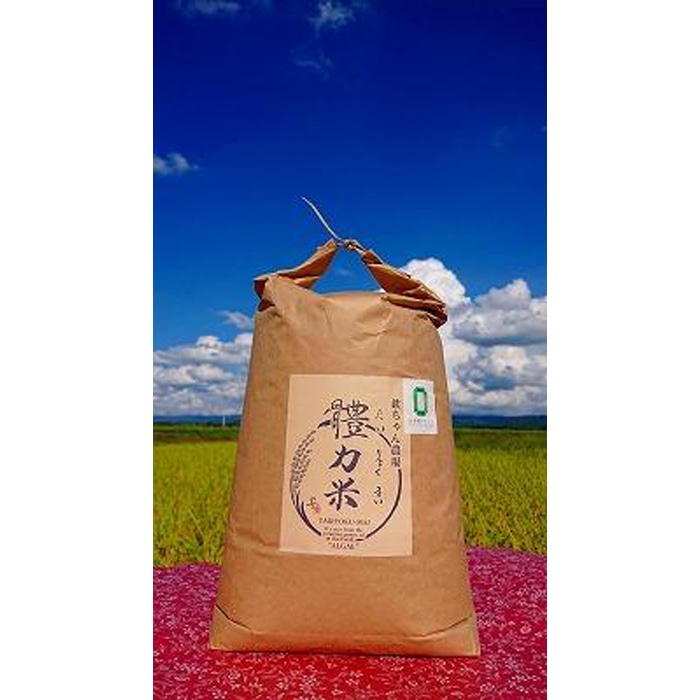 令和7年度産 體力米(たいりょくまい)コシヒカリ 白米 10kg | 米 新米 ブランド米 栃木県 大田原市