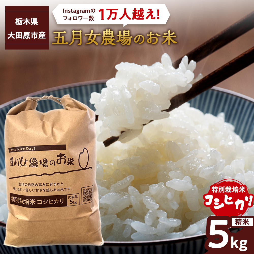 令和7年産 精米 特別栽培米 コシヒカリ「五月女農場のお米」(5kg)  2025年10月~順次発送 |新米 農家直送 産地直送 産直 栃木県 大田原市 こしひかり