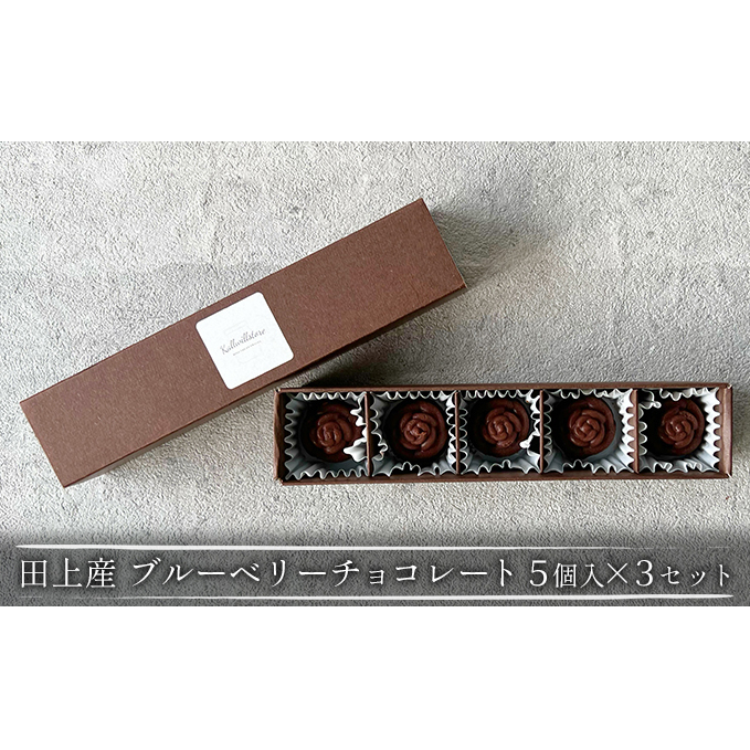 田上産 栽培期間中無農薬ブルーベリーで作るチョコレート 5個入×3セット スイーツ お菓子 