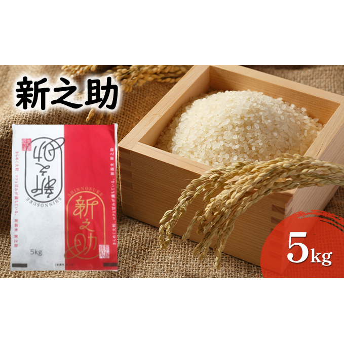 新之助 5kg お米