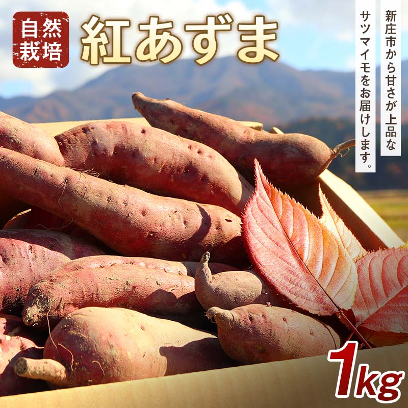 【先行予約】 自然栽培 紅あずま 1kg(3~5本) さつまいも サツマイモ 山形県 新庄市 F3S-2320