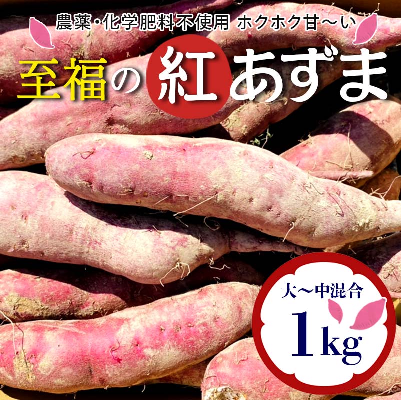 栽培期間中、農薬・化学肥料不使用 ホクホク甘~い『至福の紅あずま』1kg(3~5本) さつまいも サツマイモ 山形県 新庄市 F3S-2322