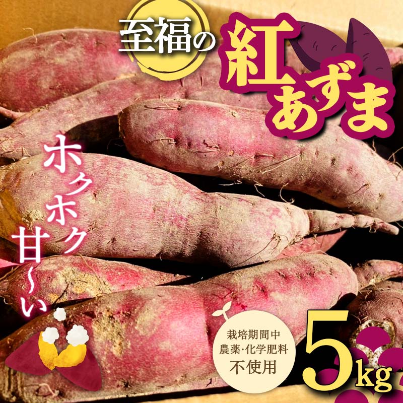 栽培期間中、農薬・化学肥料不使用 ホクホク甘~い『至福の紅あずま』サイズ 中~大混合 5kg さつまいも サツマイモ 山形県 新庄市 F3S-1937