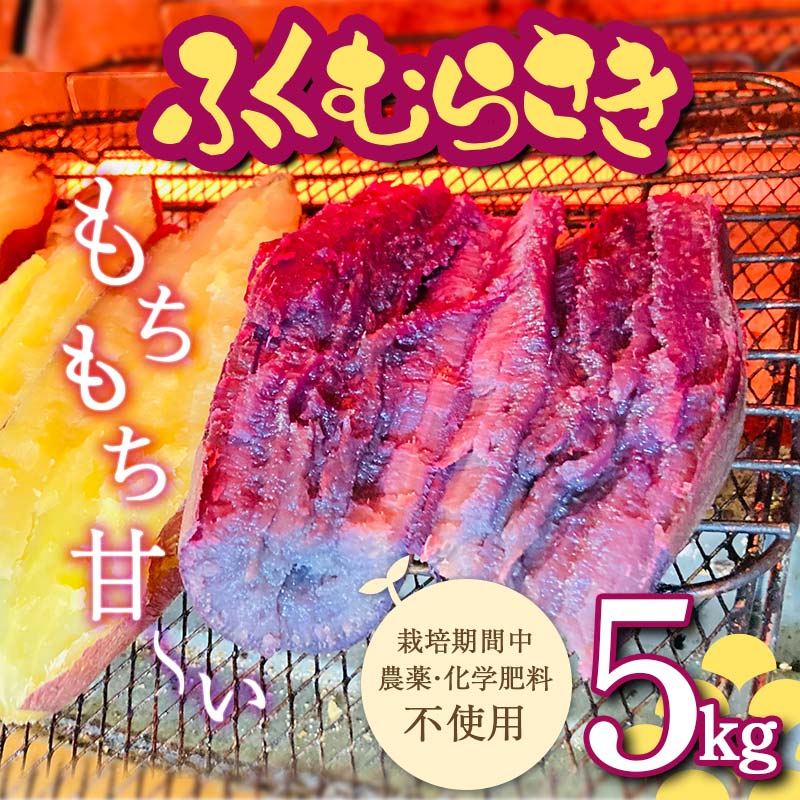 栽培期間中、農薬・化学肥料不使用 もちもち甘~い『ふくむらさき』サイズ 大~小混合 5kg さつまいも サツマイモ 山形県 新庄市 F3S-1941