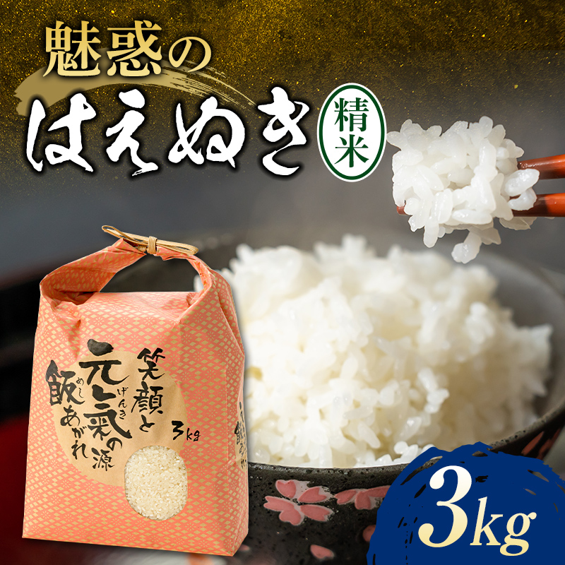 【先行予約】 令和7年産 魅惑のはえぬき3kg 米 お米 おこめ ふるさと納税 山形県 新庄市 F3S-2379
