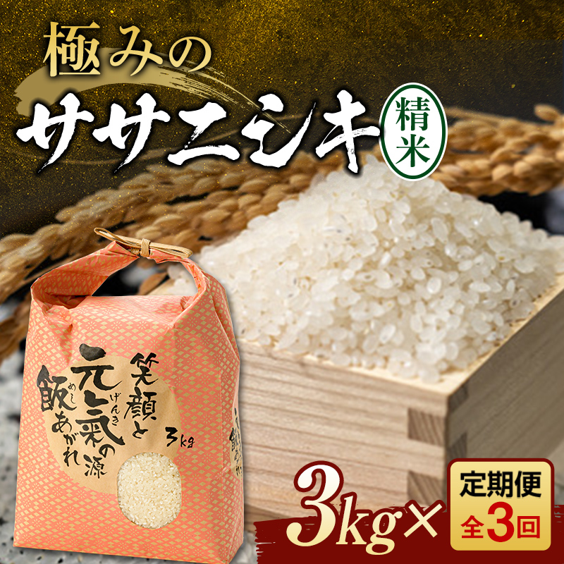定期便 全3回 極みのササニシキ(精米)3kg 米 お米 おこめ ふるさと納税 山形県 新庄市 F3S-2387