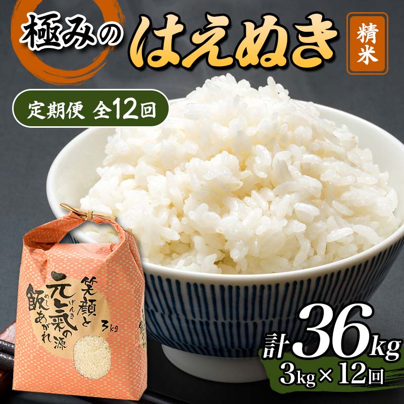定期便 全12回 極みのはえぬき(精米)3kg 米 お米 おこめ ふるさと納税 山形県 新庄市 F3S-2392
