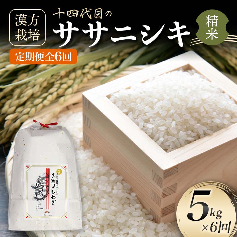 定期便 全6回 漢方栽培 十四代目のササニシキ(精米) 5kg×6回 米 お米 おこめ 山形県 新庄市 F3S-2411