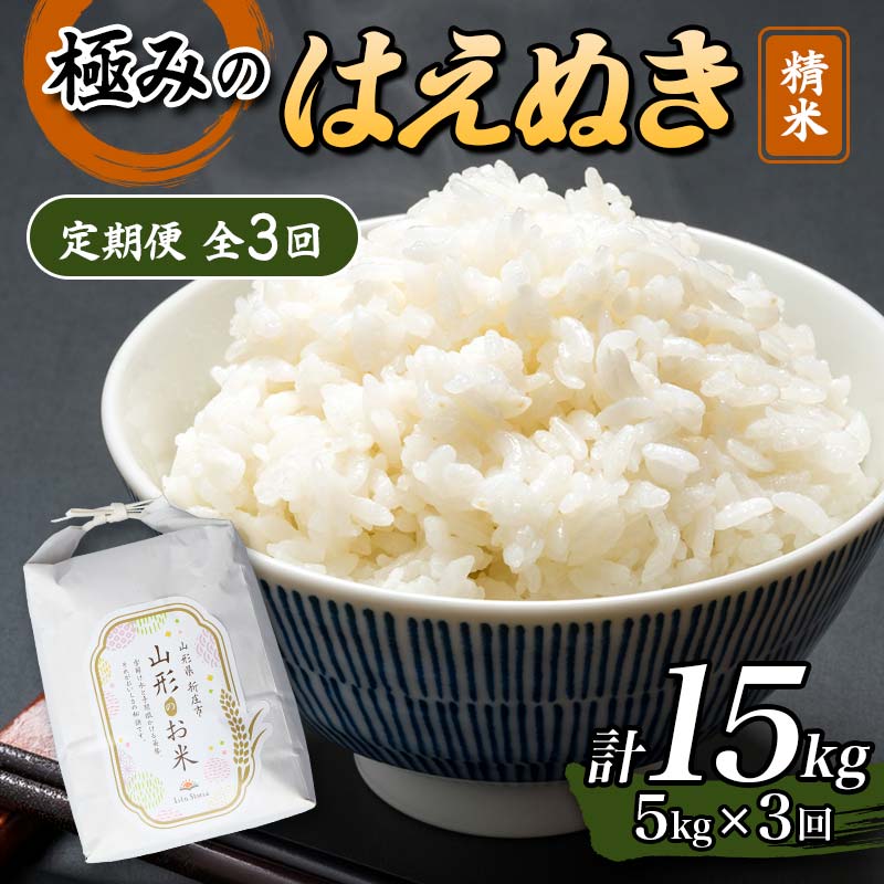 定期便 全3回 極みのはえぬき(精米)5kg 米 お米 おこめ ふるさと納税 山形県 新庄市 F3S-2427