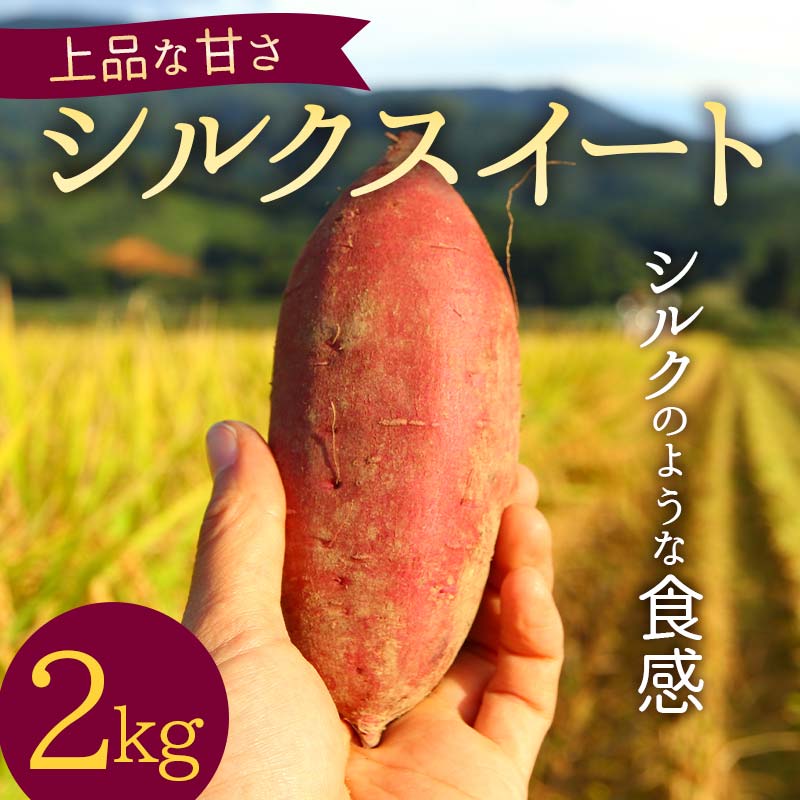上品な甘さの【シルクスイート】2kg (栽培期間中、農薬、化学肥料不使用) さつまいも サツマイモ 芋 F3S-2000