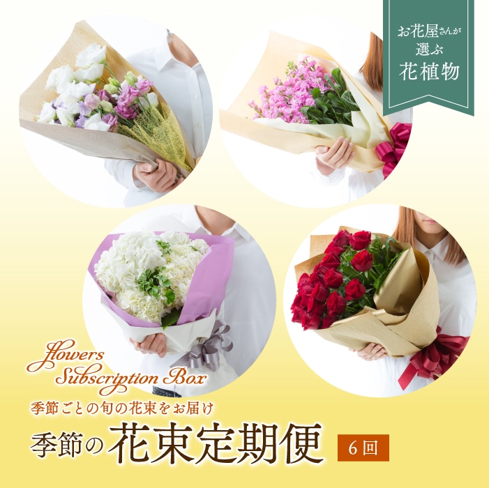 【全6回 定期便】 2ケ月に1回 季節の花束 定期便 F3S-1129