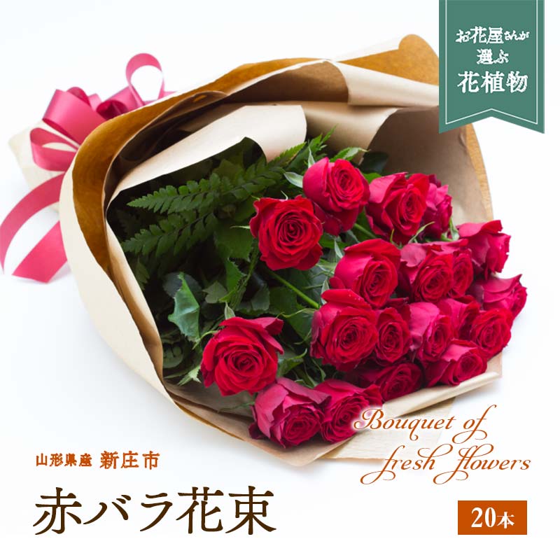 赤バラ 花束 20本 F3S-0746