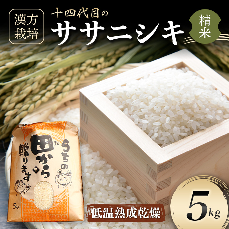 [先行予約] 令和6年産 漢方栽培 低温熟成乾燥 十四代目のササニシキ 5kg 米 お米 おこめ 山形県 新庄市