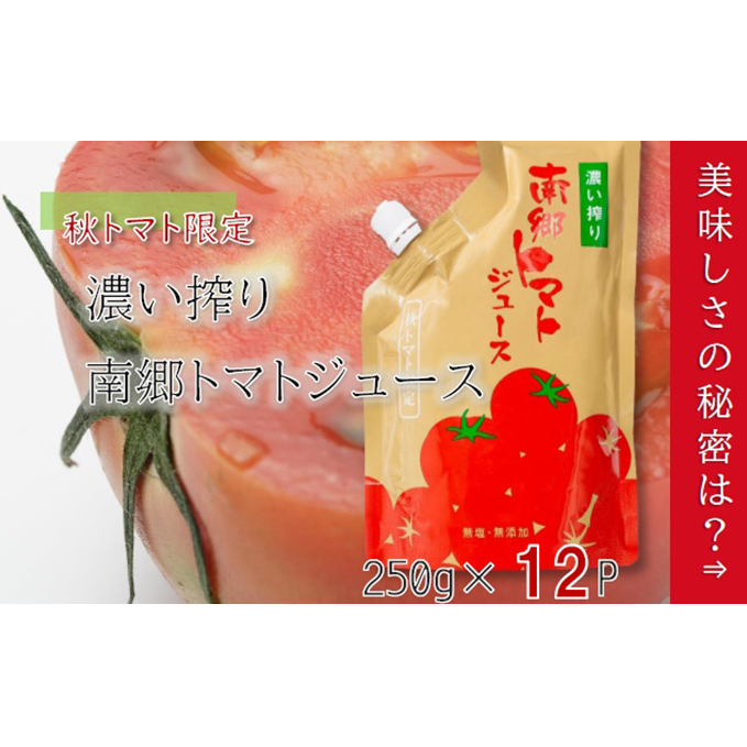 濃い搾り 南郷トマトジュース 12パック 果汁飲料 野菜飲料 ストレート 無添加