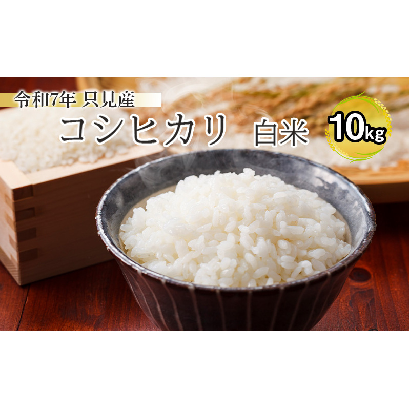 【伊南川農園】令和7年 只見産 コシヒカリ 白米 10kg お米 ライス ご飯 主食 おにぎり お弁当 福島県産 精米 食卓
