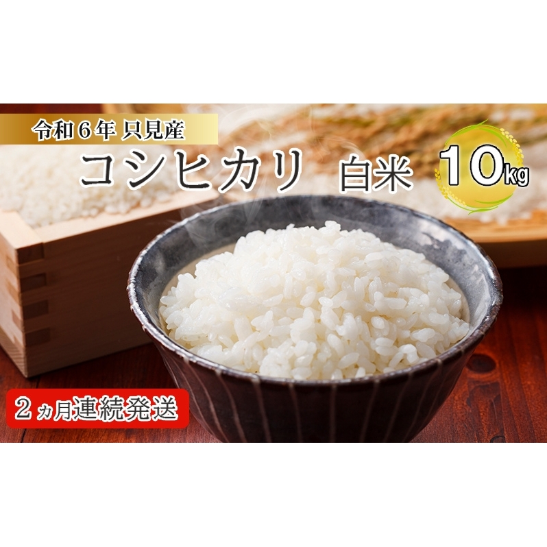 【伊南川農園】令和6年 只見産 コシヒカリ 白米 10kg 2ヵ月連続発送(合計20kg) お米 ライス ご飯 主食 おにぎり お弁当 福島県産 精米 食卓 2回 お届け