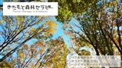 きたもと森林セラピー ハンドマッサージ付き(2名分)