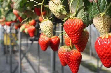 神奈川県海老名市