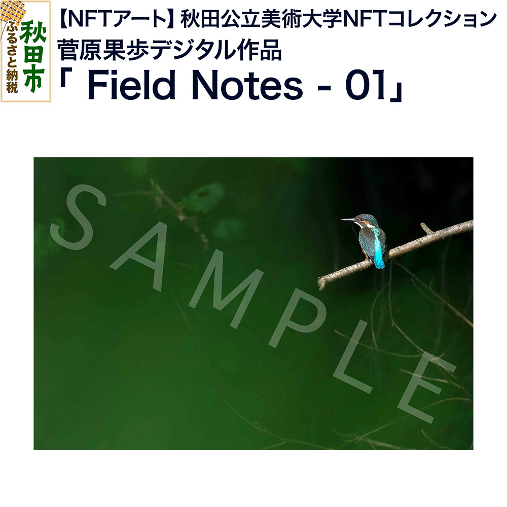 【NFTアート】《秋田公立美術大学NFTコレクション》鳥類を対象にフィールドワークや撮影を続ける菅原果歩デジタル作品「Field Notes - 01」
