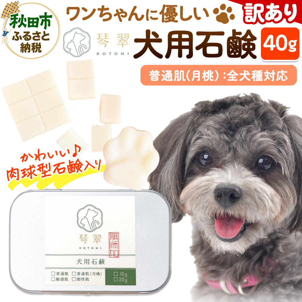 【訳あり】ルベール の 犬用石鹸 【普通肌（月桃）】 40g 肉球型石鹸入り クロネコゆうパケット