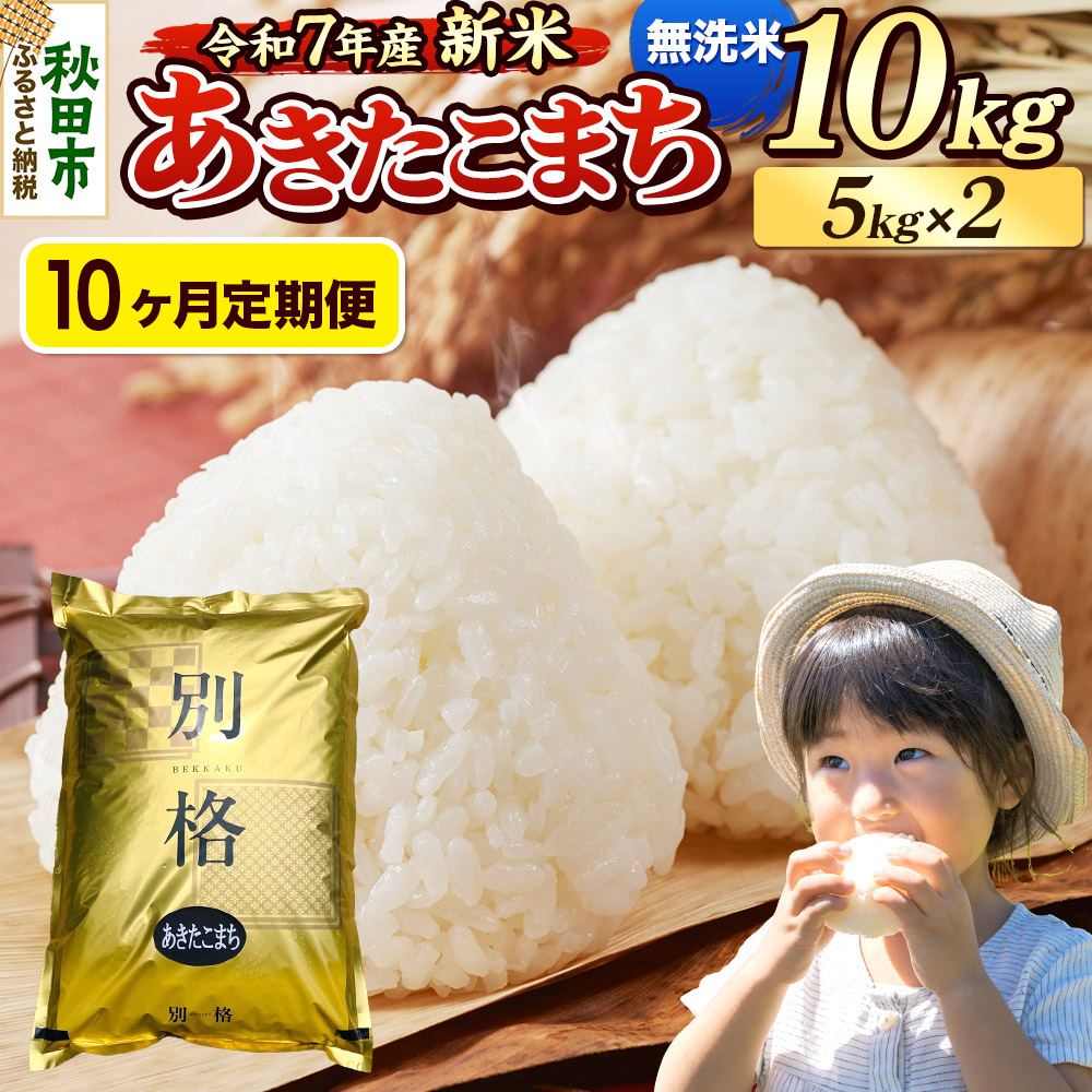 《令和7年産 新米》《定期便10ヶ月》 米 あきたこまち 10kg(5kg×2袋) 【無洗米】 秋田県産