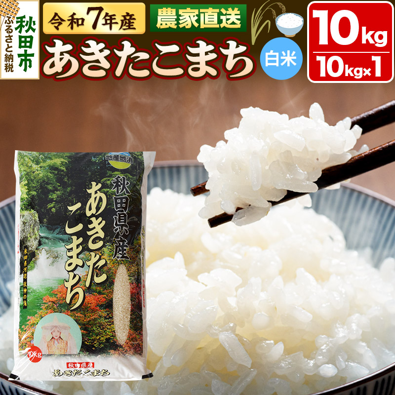 米 あきたこまち 10kg 令和7年産 新米 白米 田口商店 農家直送 秋田県産