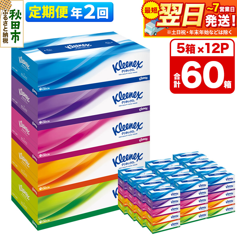 《6ヶ月ごとに2回お届け》定期便 ティッシュ クリネックス ティシュー 5箱×12パック 最短翌日発送