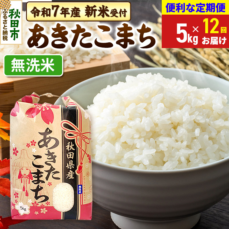 《令和7年産 新米受付》《定期便12ヶ月》 あきたこまち 5kg【無洗米】秋田県産 こまちライン