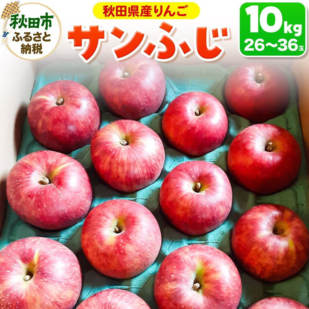 サンふじ 10kg りんご リンゴ 林檎