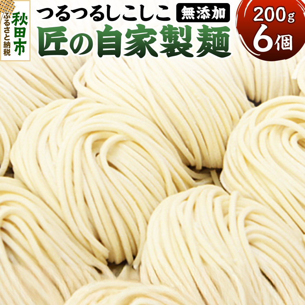 竹本商店 無添加で安心 つけ麺の麺 つるつるしこしこ「匠の自家製麺」 200g×6玉