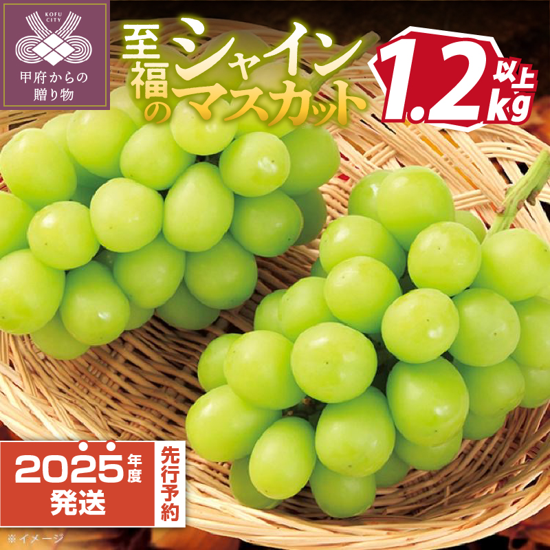 [2025年度配送分]至福の山梨県産シャインマスカット 2〜3房(1.2kg以上)