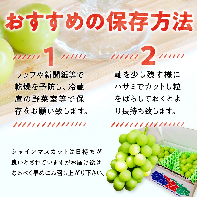 2025年度配送分〉至福の山梨県産シャインマスカット 2～3房（1.2kg以上） | 山梨県甲府市 | JRE MALLふるさと納税