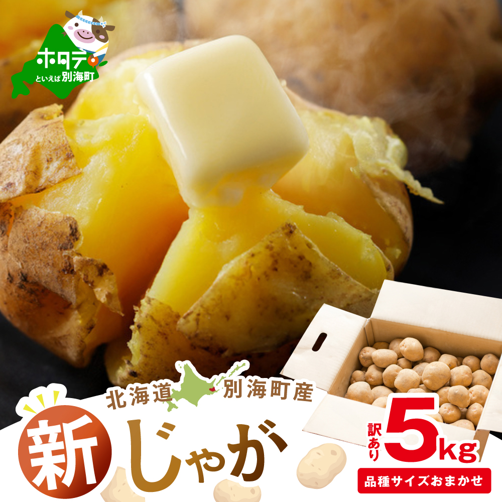 2025年10～12月発送 北海道別海町産 じゃがいも5kg(１種おまかせ)【JV0000005】（きたあかり、ワセシロ、男爵、メークイーン、レッドムーン）