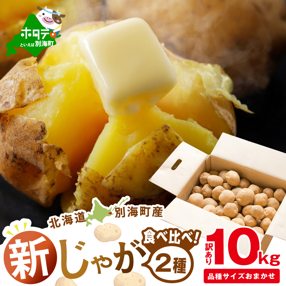2025年10～12月発送 北海道別海町産 じゃがいも10kg (２種おまかせ)【JV0000003】 （きたあかり、ワセシロ、男爵、メークイーン、レッドムーン）